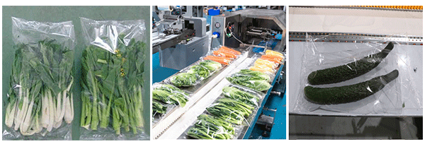 生鲜蔬果自动包装机-蔬菜水果枕式包装机设备